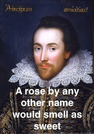 The meaning and origin of the expression 'A
rose by any other name would smell as sweet'.'