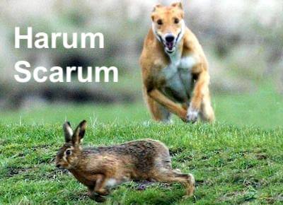 The meaning and origin of the phrase 'Harum-scarum'.