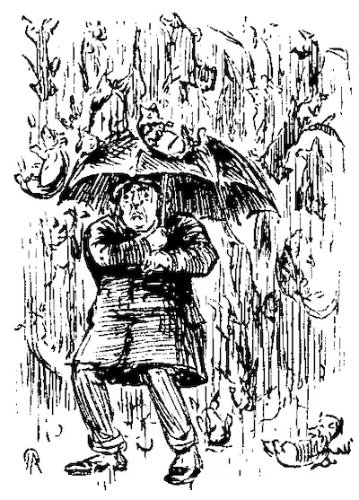 Raining cats and dogs