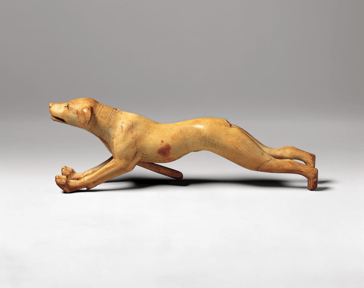 A barking dog never bites