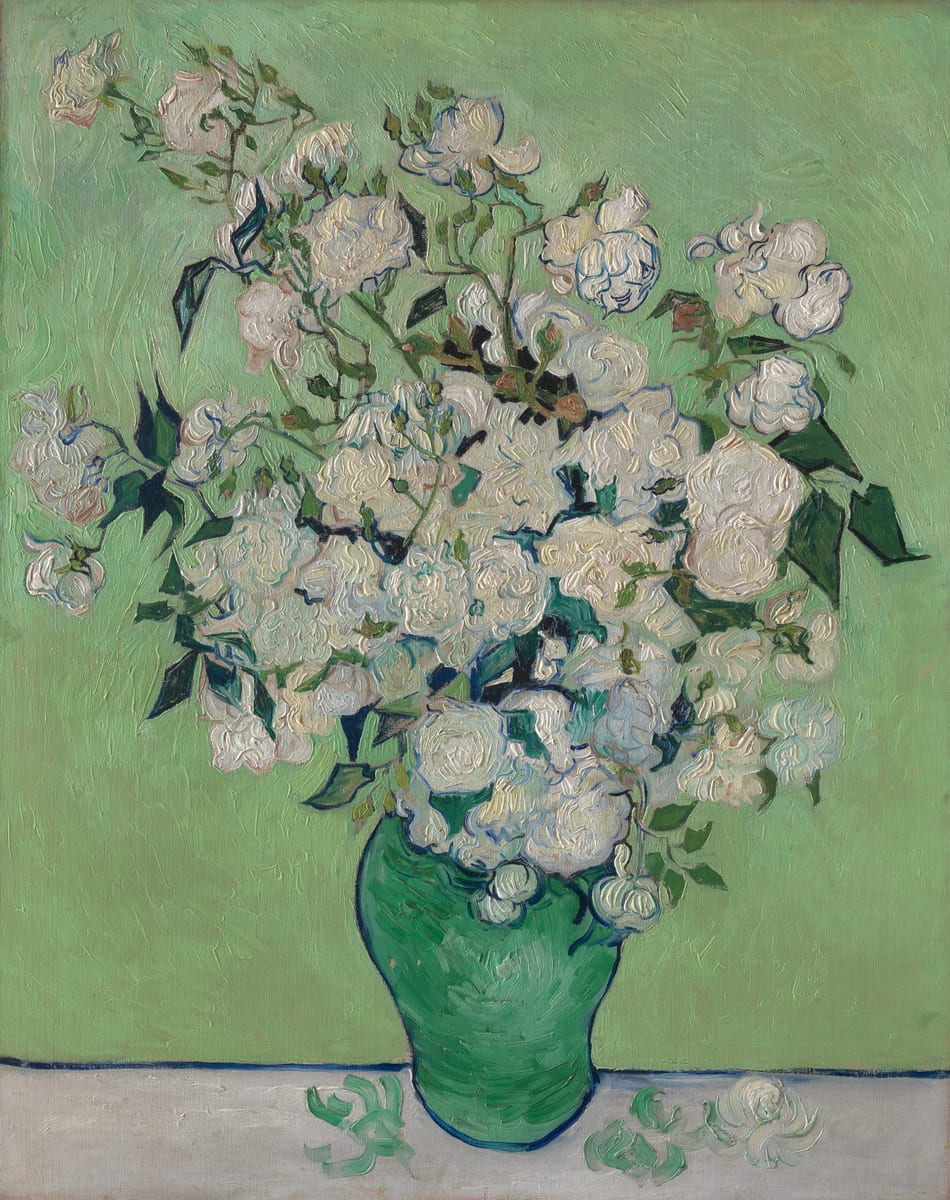 A bed of roses