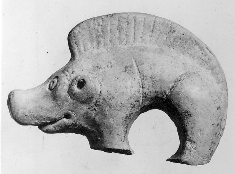 A pig in a poke