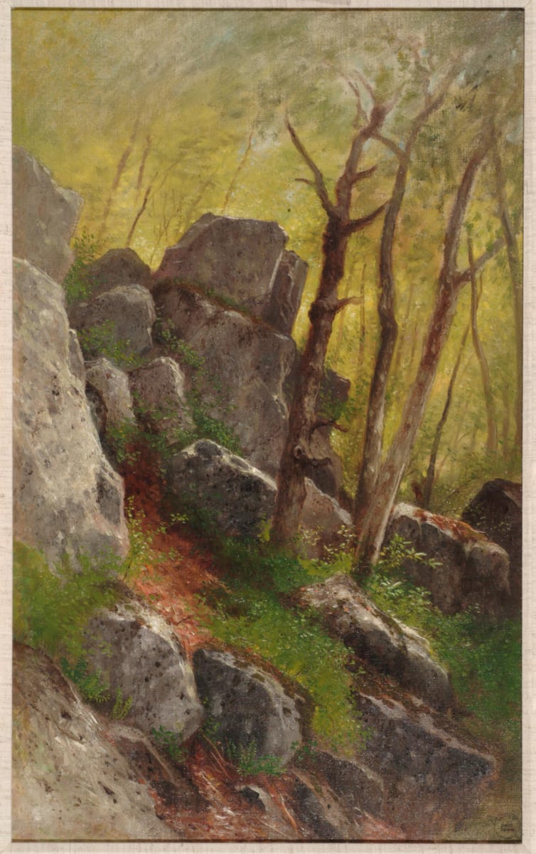 A rolling stone gathers no moss