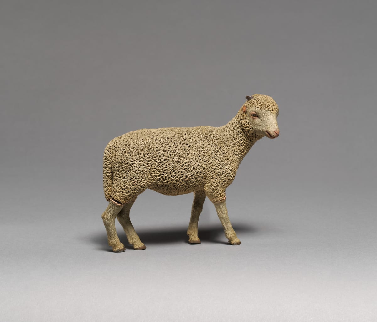 Black sheep of the family
