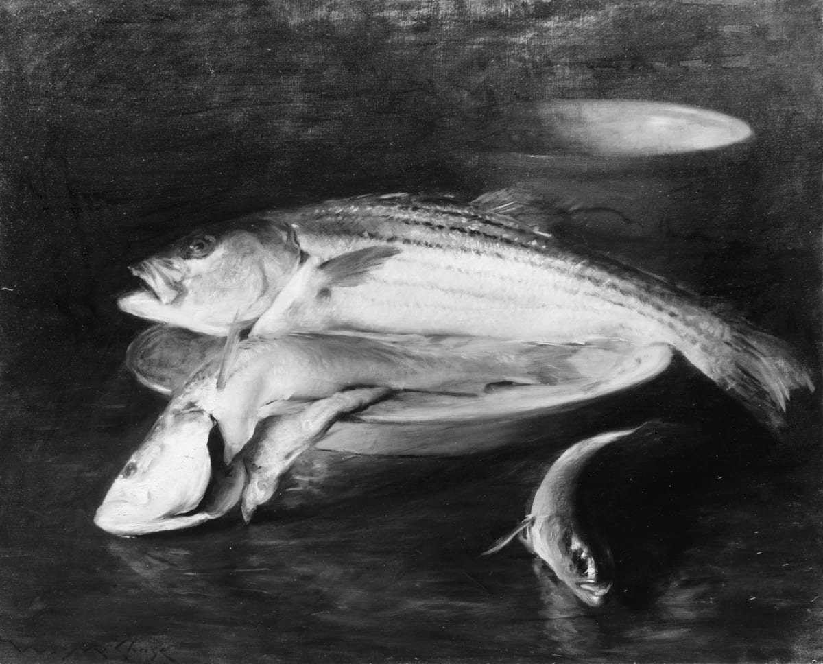 A pretty kettle of fish
