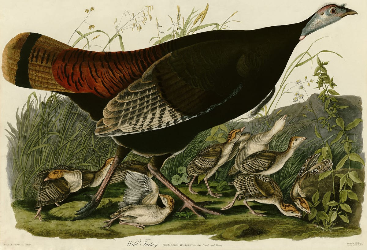 Turkeys voting for Christmas