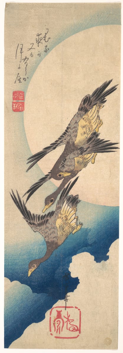 Wild goose chase