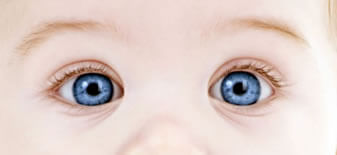 images/baby-blues.jpg