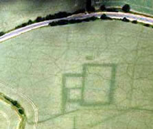 Crop marks