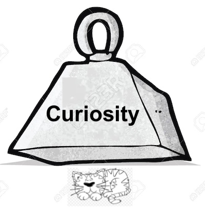 The phrase 'Curiosity killed the cat' - meaning and origin.