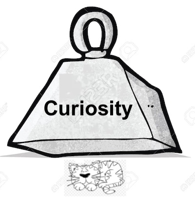 Curiosity Killed The Cat - English Cat Idioms and phrases  Idioms and  phrases, Cat idioms, Curiosity killed the cat