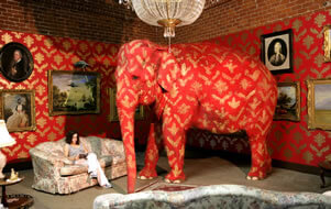 Elephant in the room