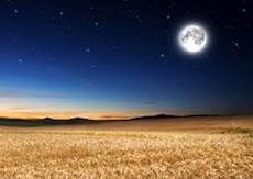 Harvest moon