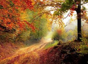 indian summer indian summer