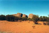 outback