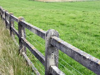 The grass is always greener on the other side of the fence