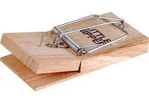 Build a better mousetrap