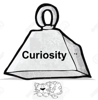 Curiosity killed the cat