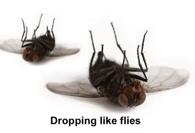 Dropping like flies