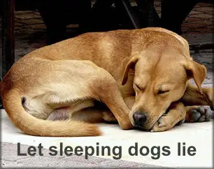 Let sleeping dogs lie