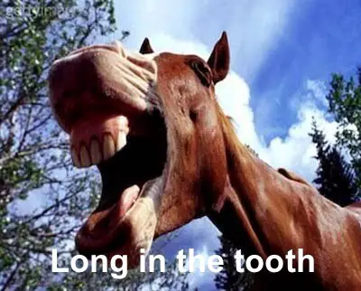 Long in the tooth