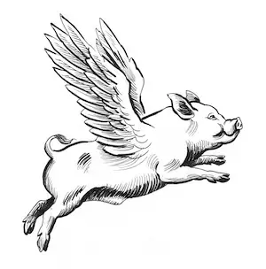 Pigs might fly / When pigs fly