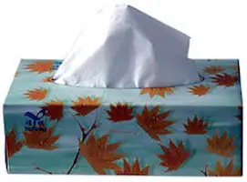 A tissue of lies